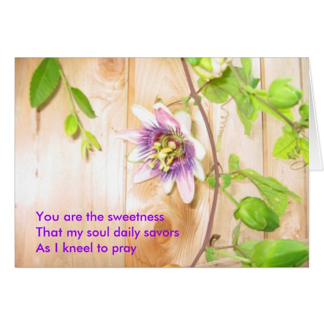 My Soul Savours Daily (Front Horizontal)