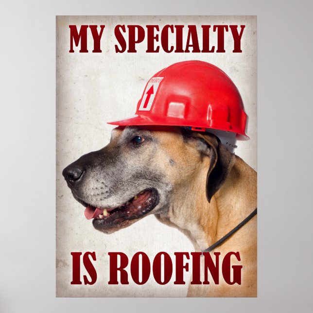 My Speciality is Roofing Poster (Front)