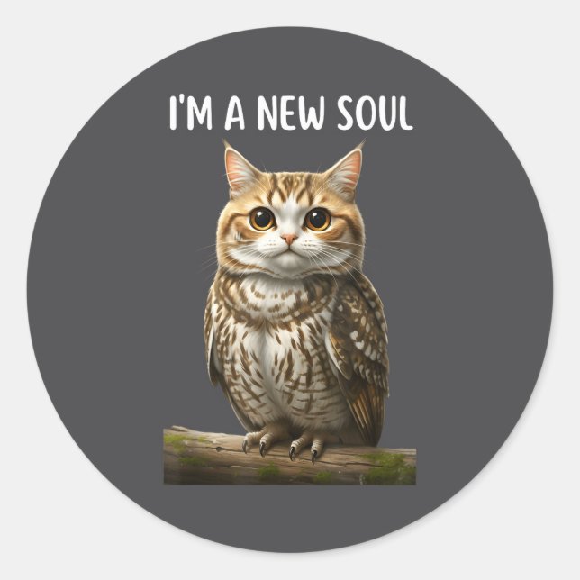 My Srit Animal Funny Meowl, Cursed Cat Owl Brainro Classic Round Sticker (Front)