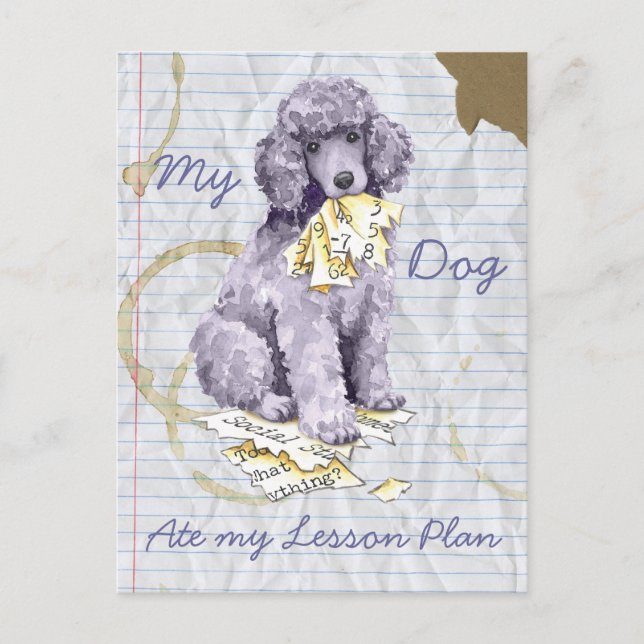 My Standard Poodle Ate my Lesson Plan Postcard (Front)