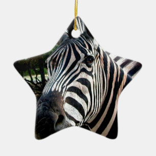 My Strippy Friend Ceramic Tree Decoration