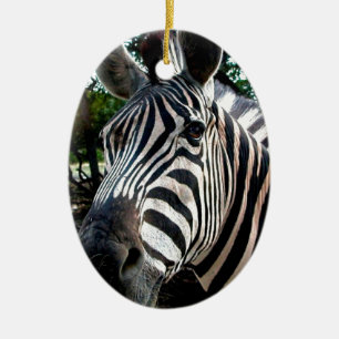 My Strippy Friend Ceramic Tree Decoration