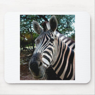 My  Strippy Friend Mouse Pad