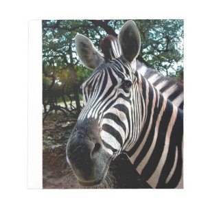 My  Strippy Friend Notepad