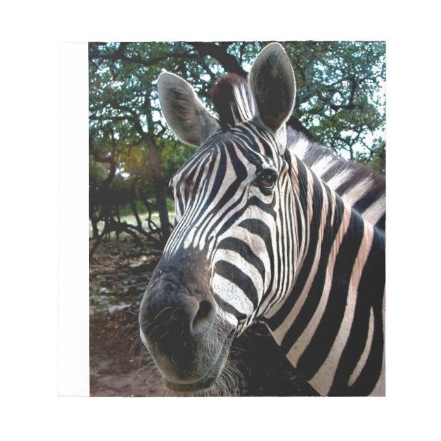 My  Strippy Friend Notepad (Front)