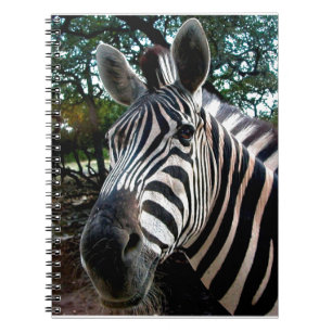 My  Strippy Friend Spiral Notebook