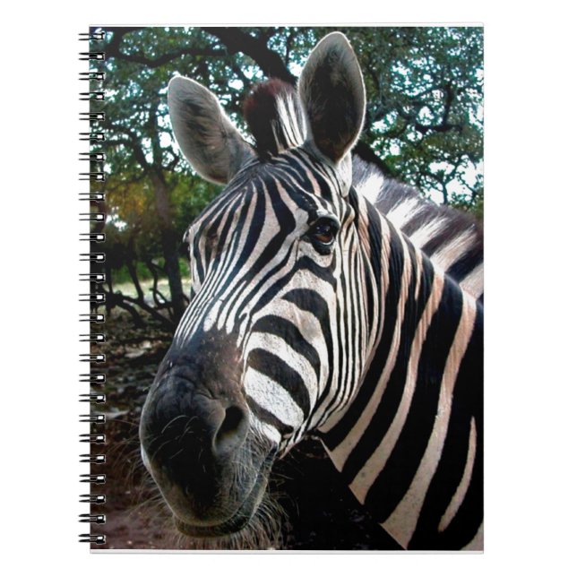 My  Strippy Friend Spiral Notebook (Front)