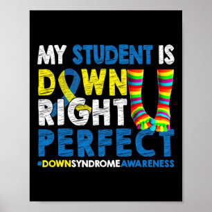 My Student Is Down Right Perfect Down Syndrome Awa Poster