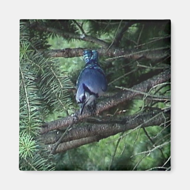 my stuff3 013 magnet (Front)