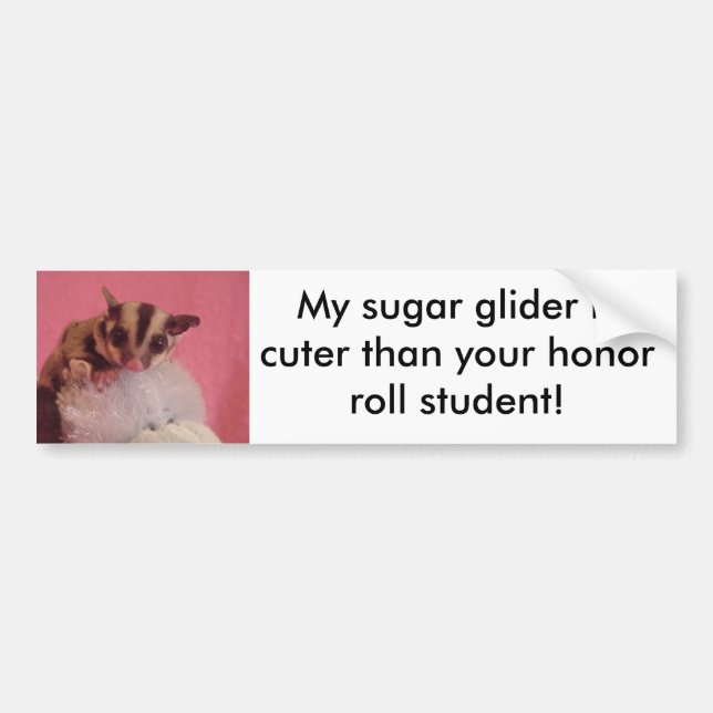 My sugar glider is cuter than your ho... bumper sticker (Front)