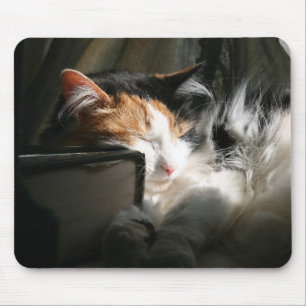 My sunbeam mouse pad