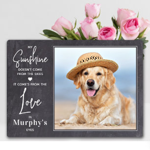 My Sunshine Personalised Photo Pet Dog Lover Plaque