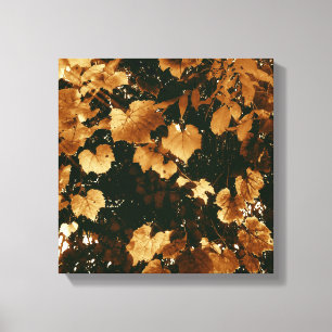My Sweet Autumn Leaves Canvas Print