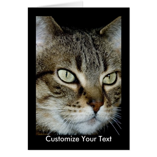 My Tabby Card (Front)