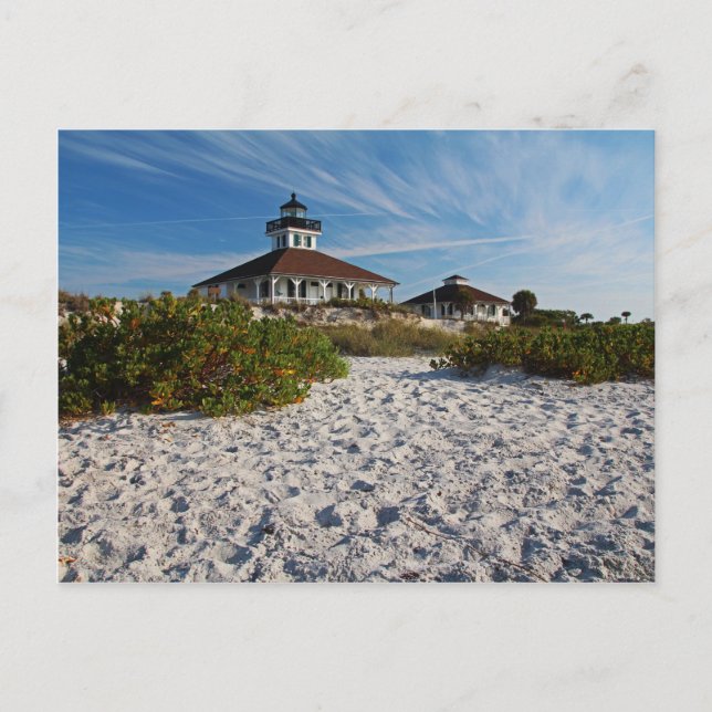 My Temporary Life Postcard (Front)