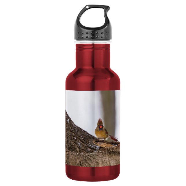 My Troll Do 532 Ml Water Bottle (Front)