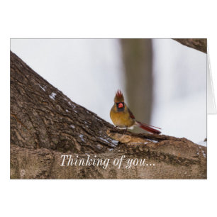 My Troll Do Thinking Of You Card