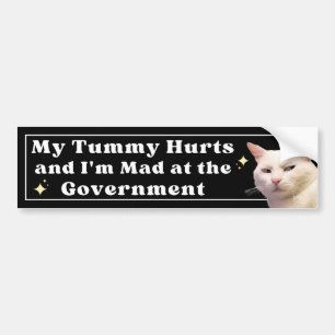 My Tummy Hurts and I'm Mad at the Government Funny Bumper Sticker