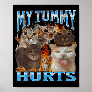 My Tummy Hurts Funny Cat Meme Bootleg Graphic Poster