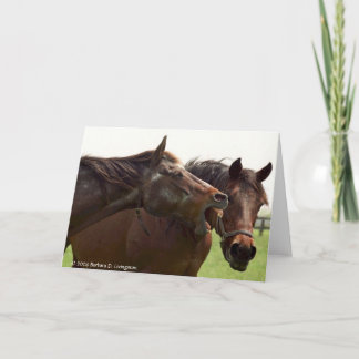 My Turbulent Miss Shares A Joke With Taba Card