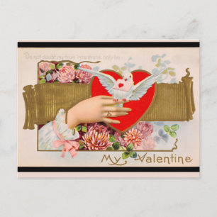 My Valentine Vintage Dove Letter Holiday Postcard