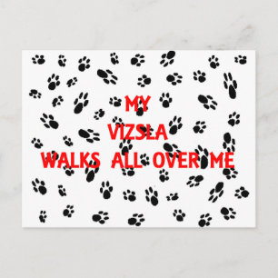 my vizsla walks on me.png postcard