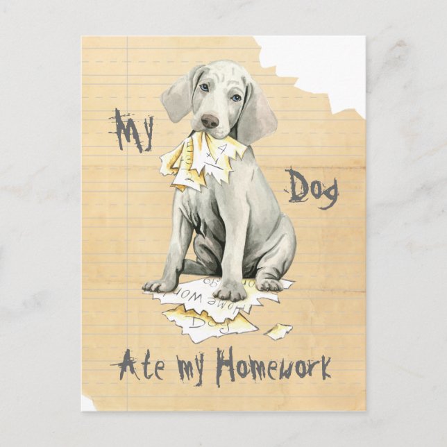 My Weimaraner Ate My Homework Postcard (Front)