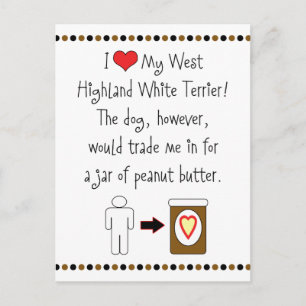 My West Highland White Terrier Loves Peanut Butter Postcard