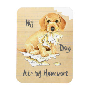 My Wirehaired Dachshund Ate my Homework Magnet