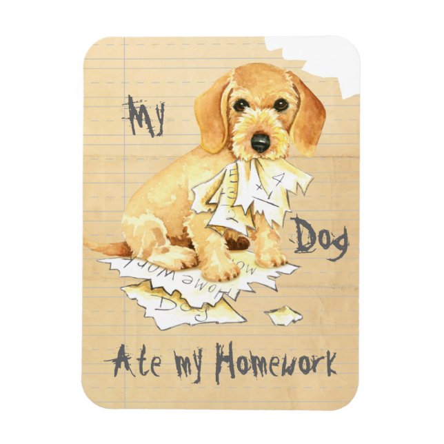 My Wirehaired Dachshund Ate my Homework Magnet (Vertical)