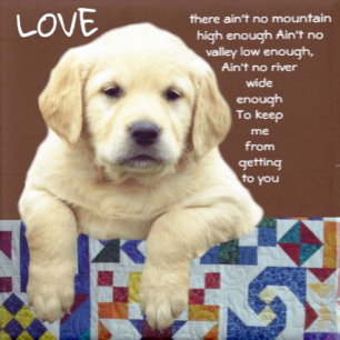 "MY WONDERLAND" WATCH