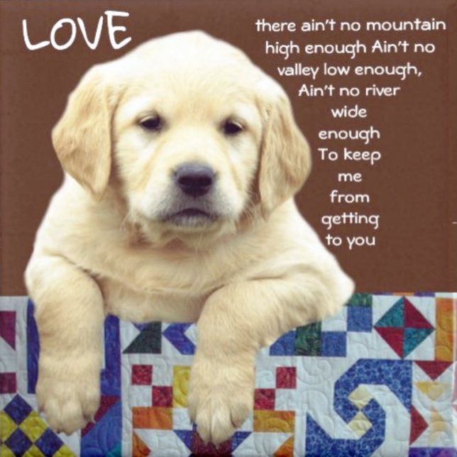 "MY WONDERLAND" WATCH (Creator Uploaded)