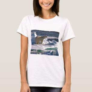 My World is melting! T-Shirt