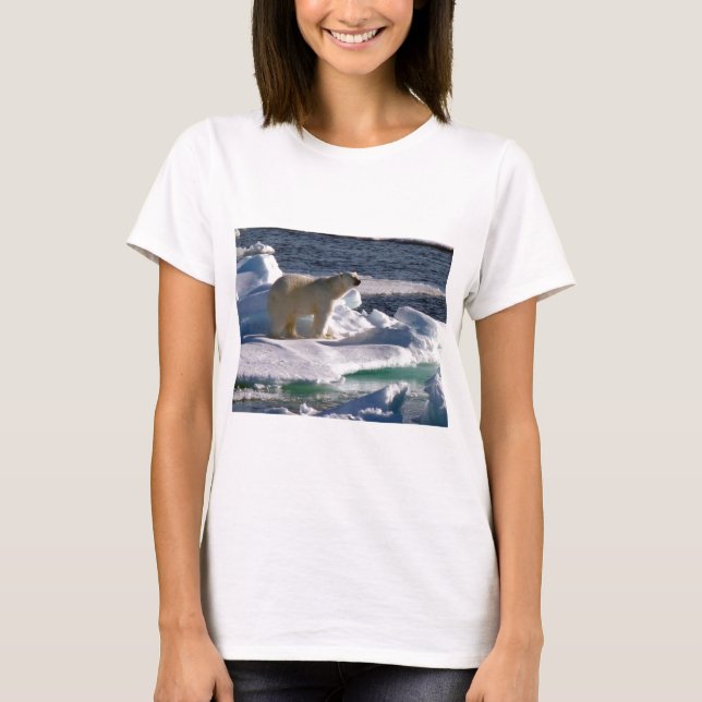 My World is melting! T-Shirt (Front)