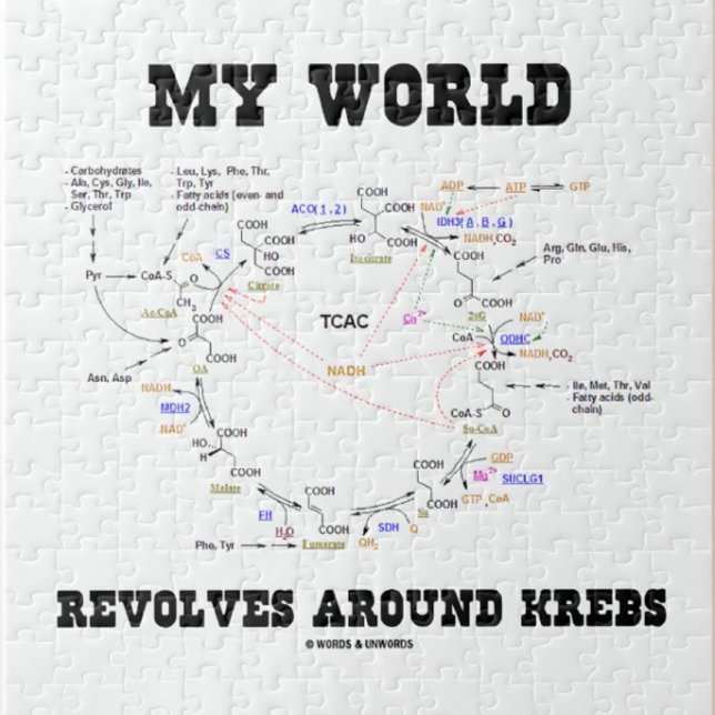 My World Revolves Around Krebs (Energy Cycle) Jigsaw Puzzle (Jigsaw puzzle for any Krebs cycle fan)