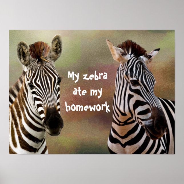My Zebra Ate My Homework Classroom Poster (Front)