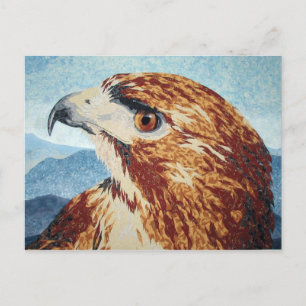 Mya - Red-tail Hawk Postcard