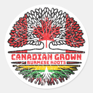 Myanmar Burmese Canadian Canada Tree Roots Flag Classic Round Sticker