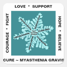 Myasthenia Gravis The Snowflake Disease -