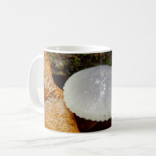 Mycena stylobates Mushroom Mug