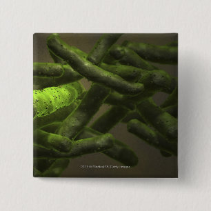 Mycobacterium tuberculosis cells 15 cm square badge