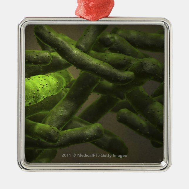 Mycobacterium tuberculosis cells metal tree decoration (Front)