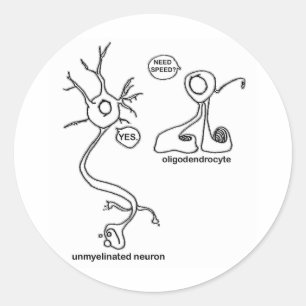 Myelin Pusher Classic Round Sticker