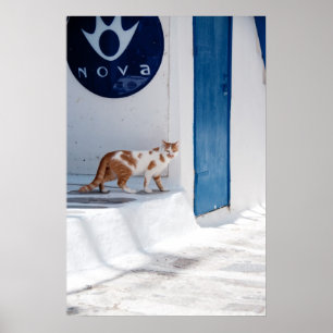 Mykonos cat - Poster