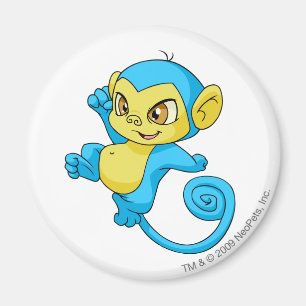 Mynci Blue Magnet