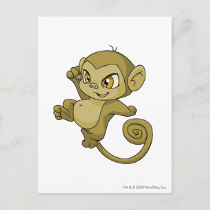 Mynci Brown Postcard