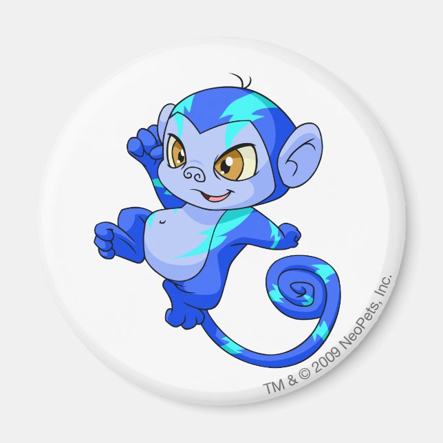 Mynci Electric Magnet (Front)