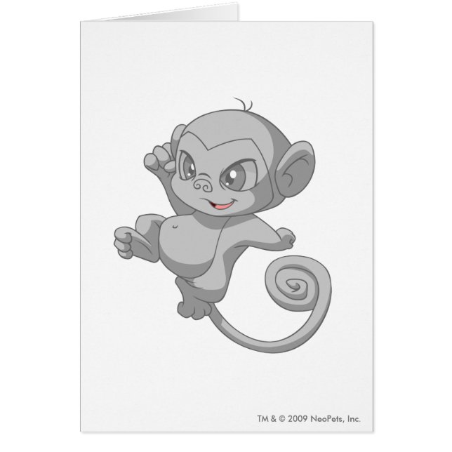 Mynci Silver (Front)