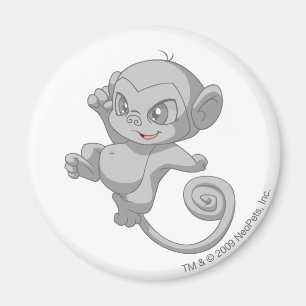 Mynci Silver Magnet