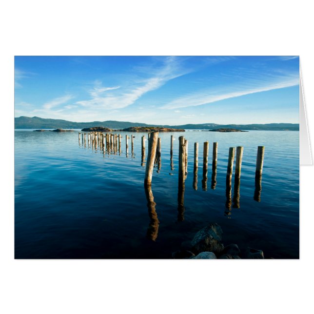 Myrtle Remnants (Front Horizontal)